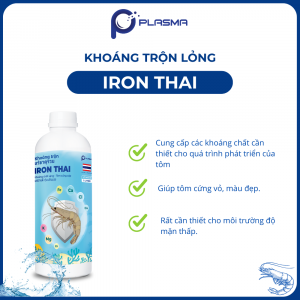 KHOÁNG TRỘN LỎNG IRON THAI