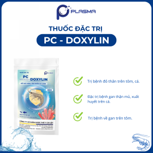 THUỐC ĐẶC TRỊ PC – DOXYLIN