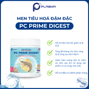 MEN TIÊU HOÁ PC PRIME DIGEST