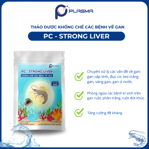 THẢO DƯỢC CHO GAN PC STRONG LIVER