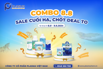 BÙNG NỔ CÙNG? COMBO 8.8 – SALE CUỐI HẠ, CHỐT DEAL TO! ?