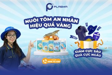 CHỚP THỜI CƠ VÀNG, TÔM KHOẺ NUÔI NHÀN