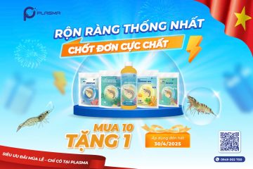 RỘN RÀNG THỐNG NHẤT – CHỐT ĐƠN CỰC CHẤT