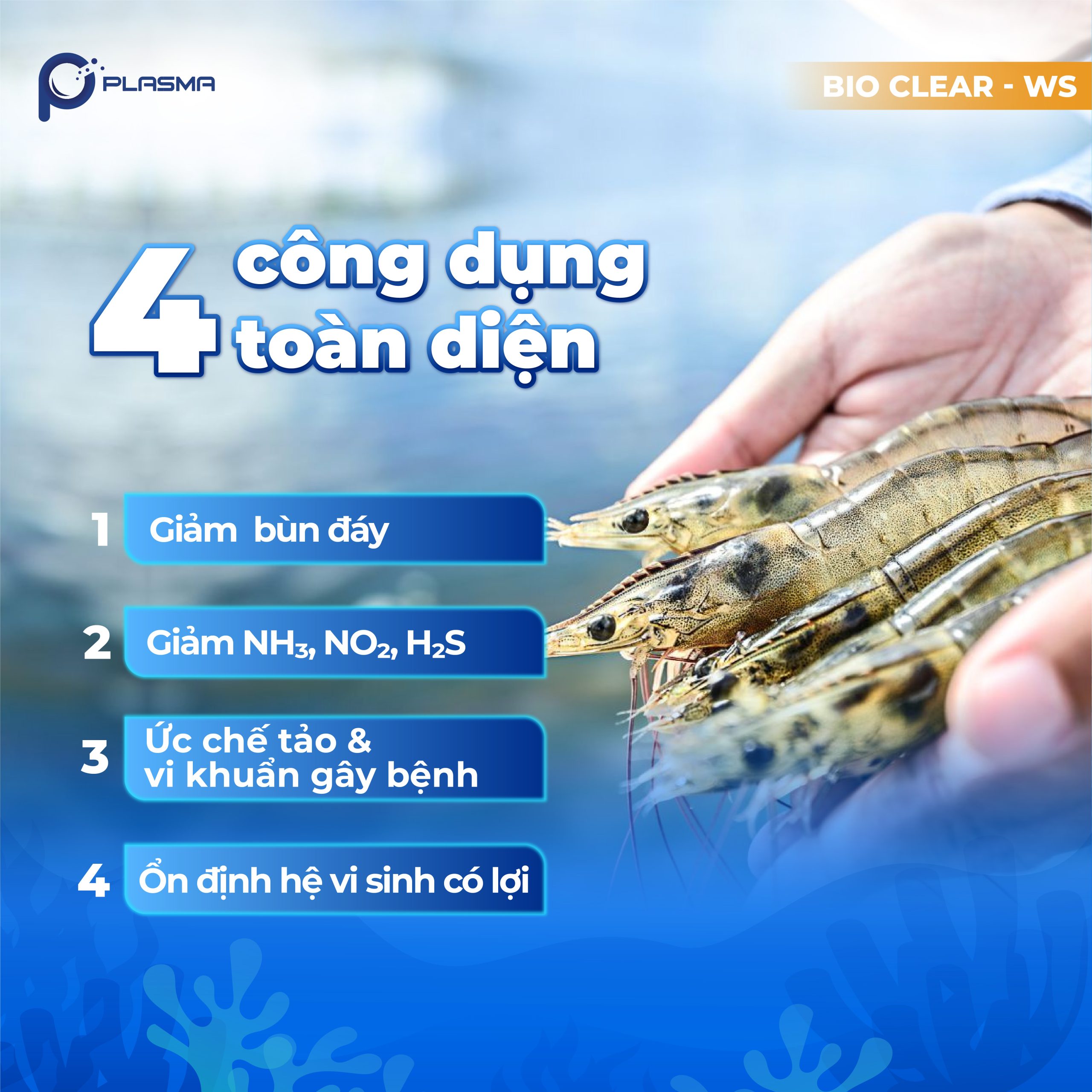 Bio Clear - WS giúp làm sạch đáy, phân huỷ bùn và chất hữu cơ, giảm nhanh khí độc trong ao.