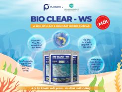 Bio Clear – WS là gì? Thành phần, công dụng và cách dùng đầy đủ nhất