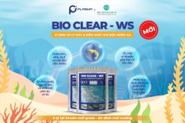 Bio Clear – WS là gì? Thành phần, công dụng và cách dùng đầy đủ nhất